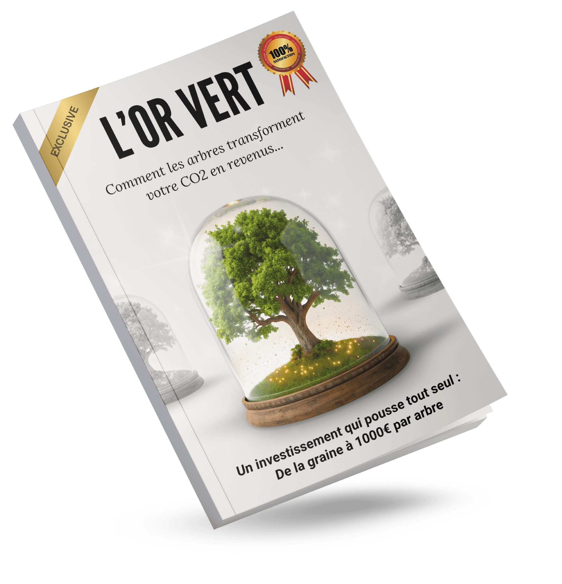 Guide 5 étapes pour réduire votre CO2